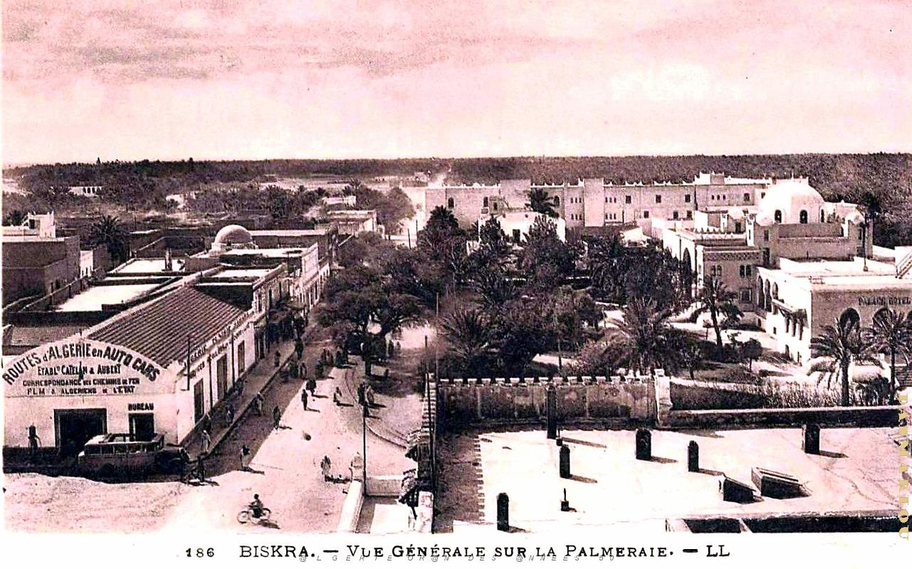 Biskra - Palmeraie - Vue Generale.jpg